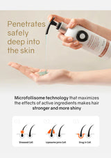 penetrates safely deep into the skin for phytopecia hair shampoo