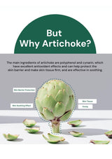 Artichoke with text explaining its benefits on a white background
