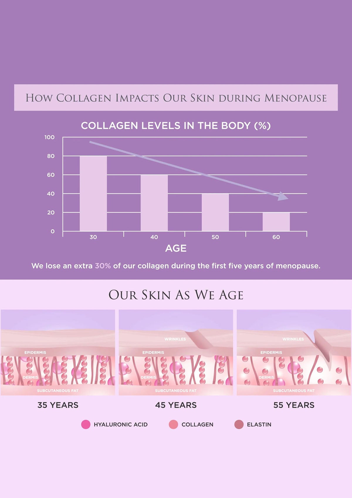 Chart and diagram showing collagen levels in the body and changes in skin with age during menopause.