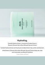 A single Abib Green LHA soap pad shown upright on a white background with a large text block below describing its hydrating ingredients and benefits.