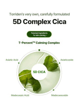 Diagram of 5D Complex Cica with green leaves and text on a white background