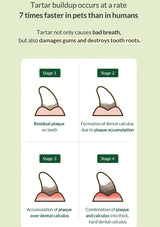 Diagram showing the stages of tartar buildup on teeth with text about dental health.