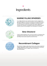 Ingredients list with images of marine filling spheres, beta-sitosterol, and recombinant collagen on a white background.