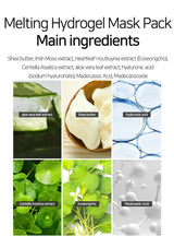 Melting hydrogel mask pack ingredients with images and text labels.