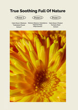 Close-up of a yellow flower with text about natural soothing properties on a beige background