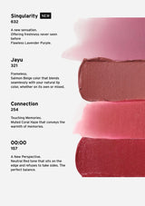Lipstick swatches with product names and descriptions on a white background