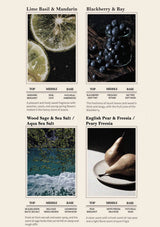 Scents with images and descriptions of lime basil & mandarin, blackberry & bay, wood sage & sea salt, and english pear & freesia.