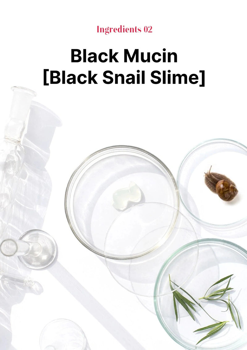 Glassware with black mucin and a snail, labeled 'Black Mucin [Black Snail Slime]'.