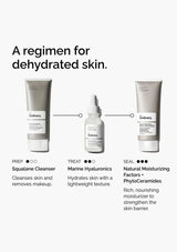 Skincare product lineup for dehydrated skin with 'The Ordinary' branding on a white background.