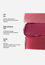 Close-up of three lipstick shades with color swatches and descriptions on a white background