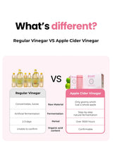 Comparison chart between regular vinegar and apple cider vinegar on a white background.