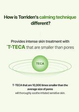Advertisement for Torriden's calming technique with T-TECA on a white background