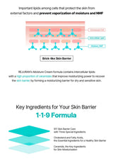 Diagram of skin barrier with text about REJURAN's Moisture Cream formula and key ingredients.