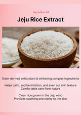 Jeju Rice Extract with a wooden bowl on a pink background