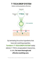Diagram of T-TECA drop system delivering calming ingredients effectively on a white background.
