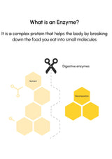 Diagram explaining what an enzyme is, showing digestive enzymes breaking down food into small molecules.