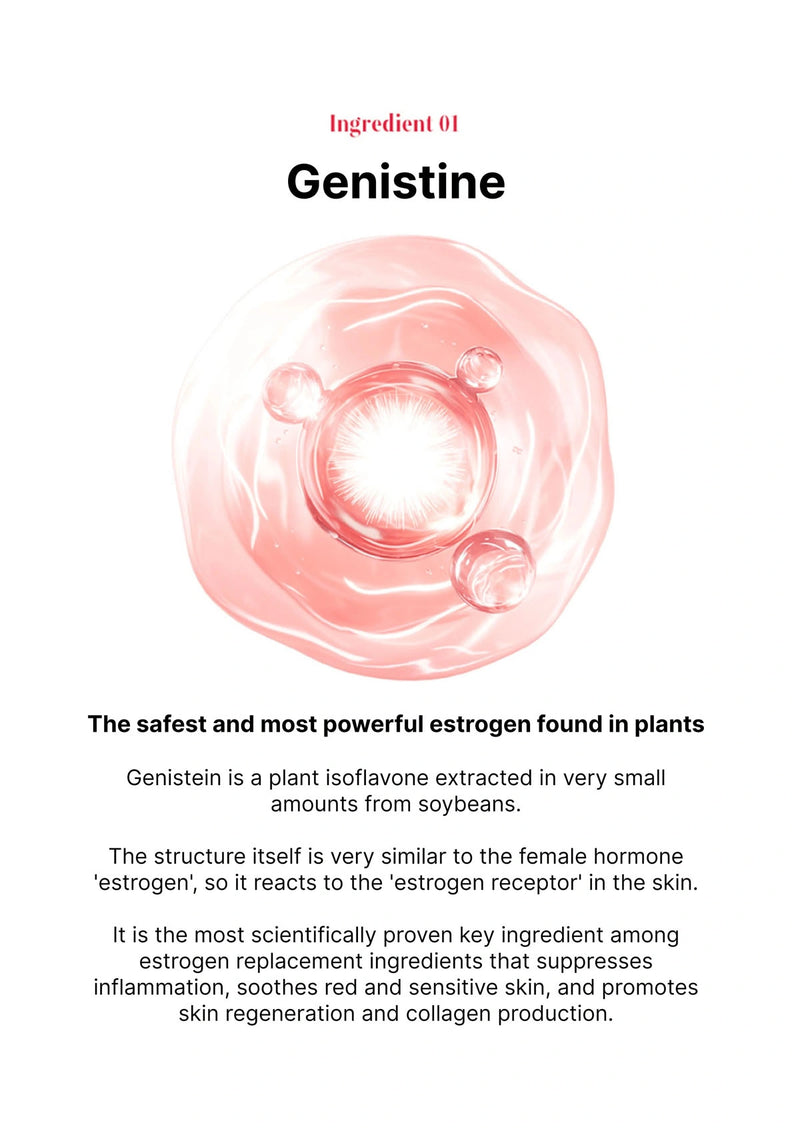 Illustration of a plant cell with text about Genistine, a plant estrogen found in soybeans.