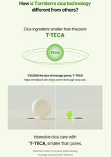 Explanation of Torriden's cica technology with T-TECA and Cica ingredients on a white background.