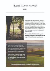 Advertisement for d'Alba X Alba Tarfufi featuring white truffles and landscape.