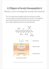 Diagram and text about Acetyl Hexapeptide-8 peptide and its effects on skin elasticity.