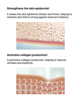 Illustration of skin layers with text about strengthening the skin epidermis and activating collagen production.