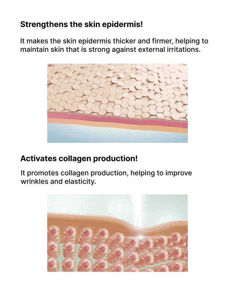 Illustration of skin layers with text about strengthening the skin epidermis and activating collagen production.