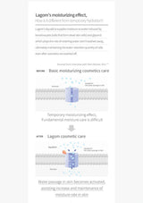 Diagram explaining Lagom's moisturizing effect and its difference from temporary hydration.