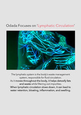 Image with text about lymphatic circulation and Odada's focus on it, featuring a close-up of a network of blue and green lines.