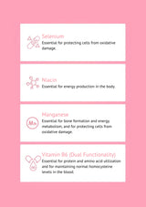 List of essential nutrients with descriptions on a pink background