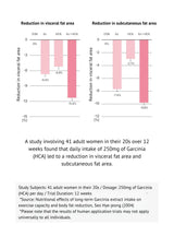 Graphs showing reduction in visceral and subcutaneous fat areas with Garcinia HCA intake.