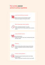 List of five auxiliary ingredients with brief descriptions on a beige background