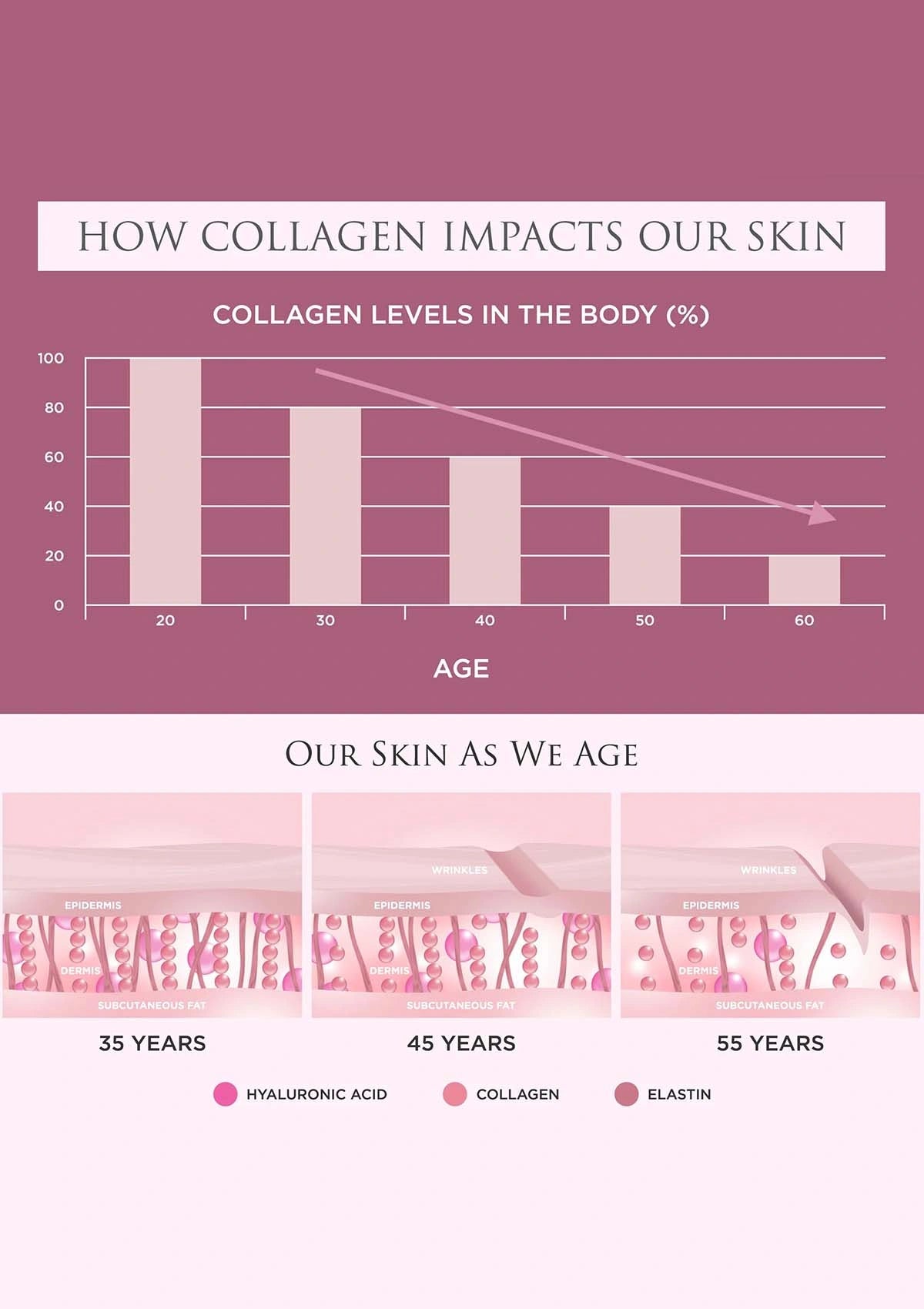 Chart showing collagen levels in the body over age and illustrations of skin aging stages.