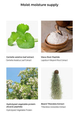 Collection of natural ingredients with labels for Centella asiatica leaf extract, Maca Root Peptide, Hydrolyzed vegetable protein, and Beard Tillandsia Extract.