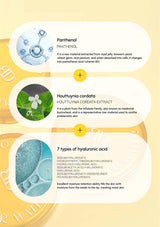Infographic detailing ingredients like panthenol and houttuynia cordata extract on a beige background.