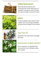 Informational graphic about natural ingredients used in skincare with images and text.
