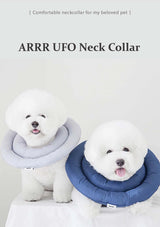 Two dogs wearing ARRR UFO Neck Collars on a light gray background