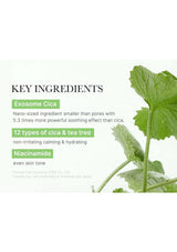 Key ingredients of a skincare product with a green leafy plant on a white background