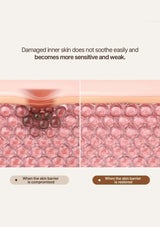 Illustration of damaged and restored skin barrier with text explaining skin sensitivity.