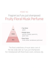 Perfume pyramid diagram with notes on fruity floral musk perfume on a white background