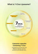 Diagram of 7-Cica Liposome with ingredients and text on a yellow background