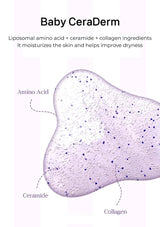 Baby CeraDerm product with labeled liposomal amino acid, ceramide, and collagen ingredients on a white background.