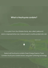 Text about Houttuynia cordata with a green background