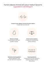 Promotional graphic for human adipose stromal cell culture medium liposome with icons and text on a white background.