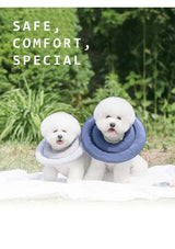 Two white dogs wearing protective collars outdoors with text 'SAFE, COMFORT, SPECIAL'.
