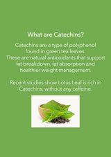 Information about catechins in green tea leaves with a picture of lotus leaf on a green background.