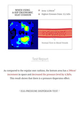 Test report for A-HIP ergonomic seat cushion showing pressure distribution and blood flow simulation.
