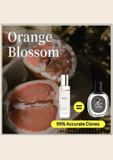 Orange Blossom perfume bottle with grapefruit slices and text indicating 99% accurate clones.