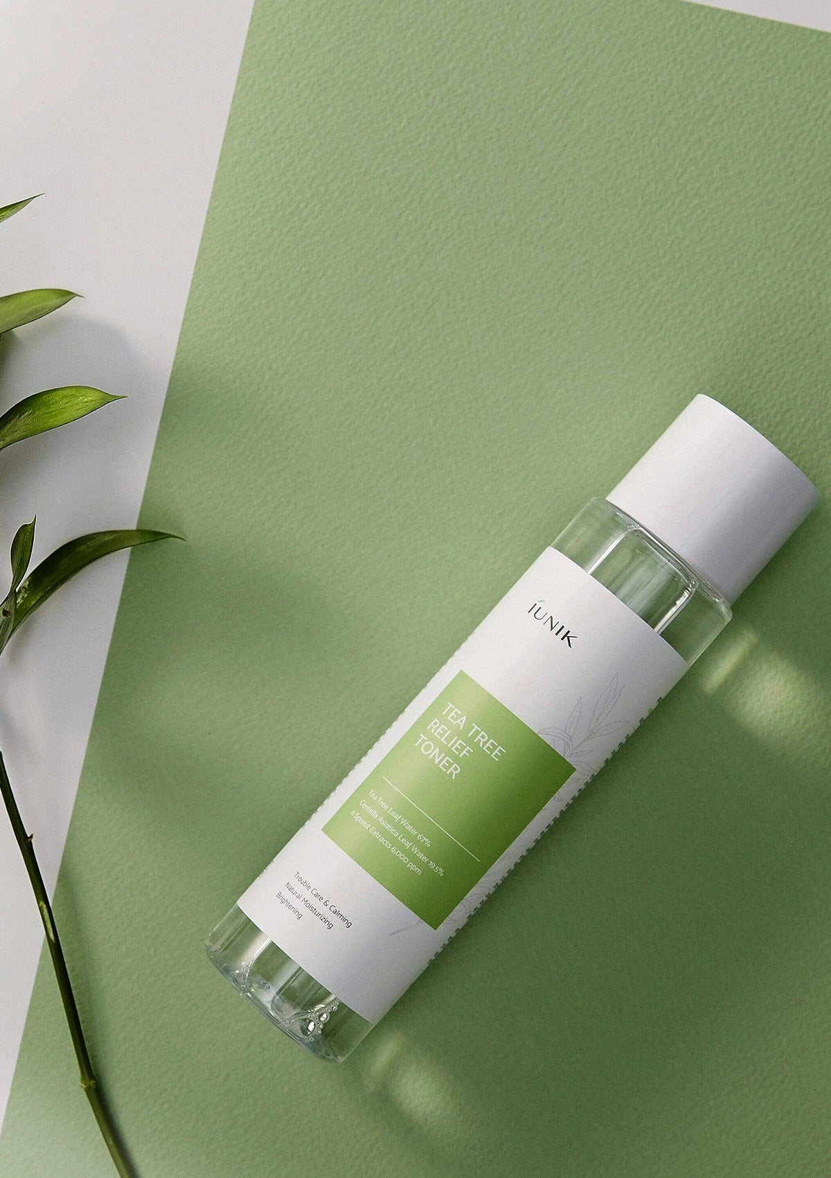 Skincare bottle with green label on a green background