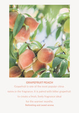 BODYLUV Vita Milk grapefruit scent photograph and complete fragrance description