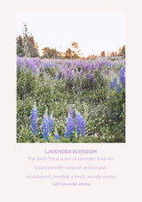 BODYLUV Vita Milk lavender scent photograph and complete fragrance description